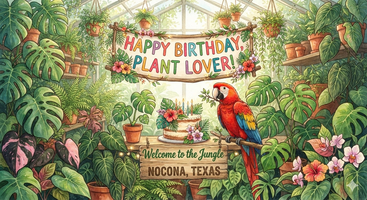 Happy Birthday Gift Card