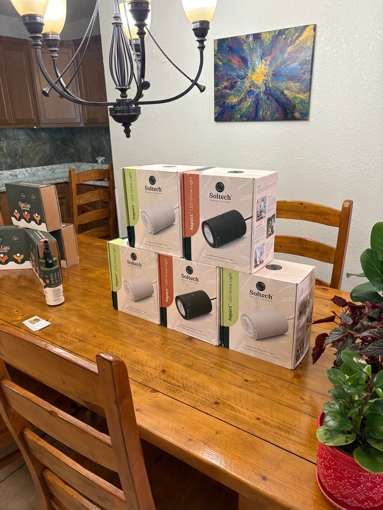 Accessories & Products
