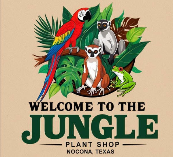 Welcome to the Jungle
