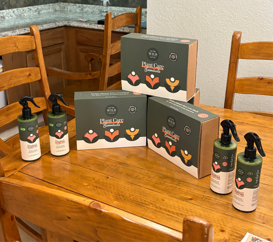 We the Wild Essentials Kit