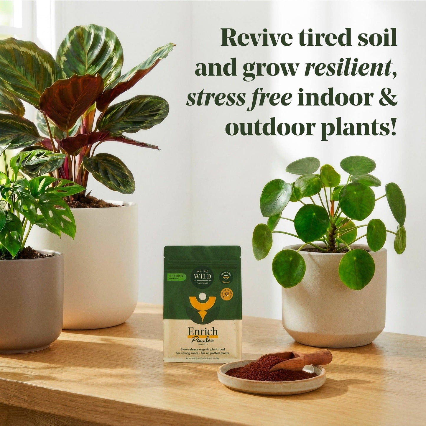 Enrich Organic Plant Food and Soil Amendment 14 oz